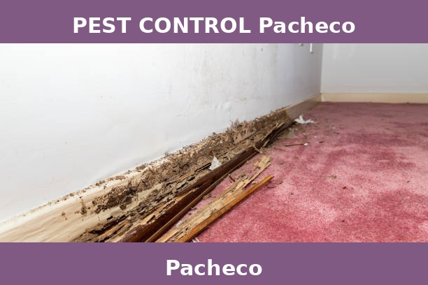PEST CONTROL Pacheco